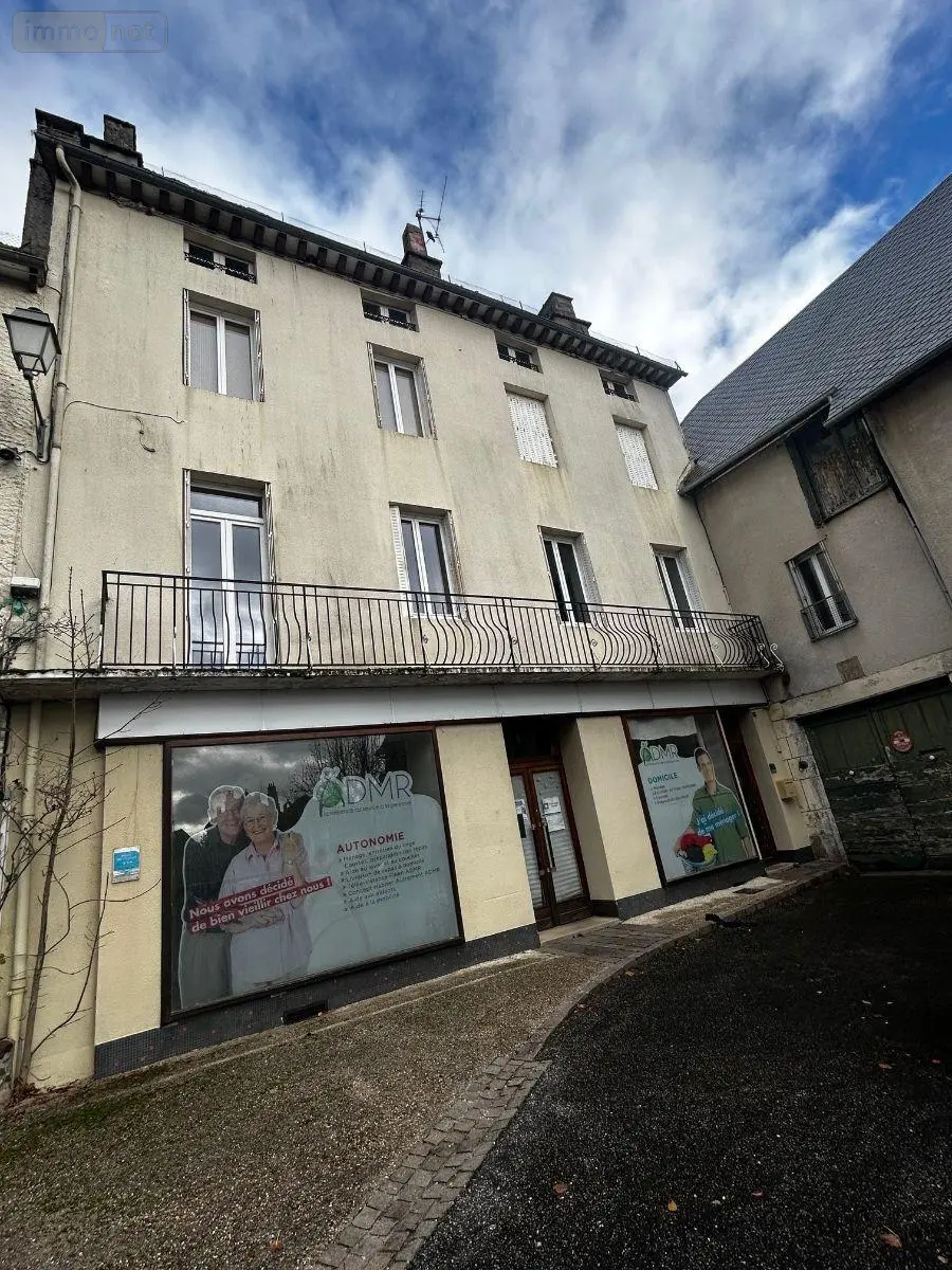 Immeuble de rapport a vendre Pleaux 15700 Cantal 15 200 m2 135680 euros 15060/1235 001