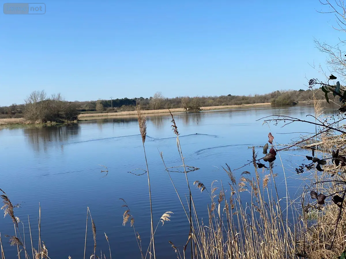 Terrains de loisirs bois etangs a vendre Lingé 36220 Indre 36 276800 euros 1049787 001
