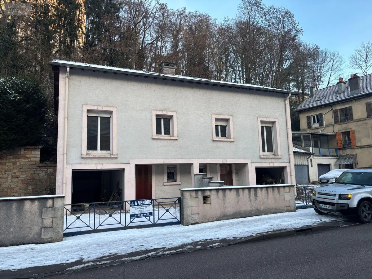 Immeuble de rapport a vendre Épinal 88000 Vosges 88 170 m2 10 pièces 189000 euros 14815/201300651 001