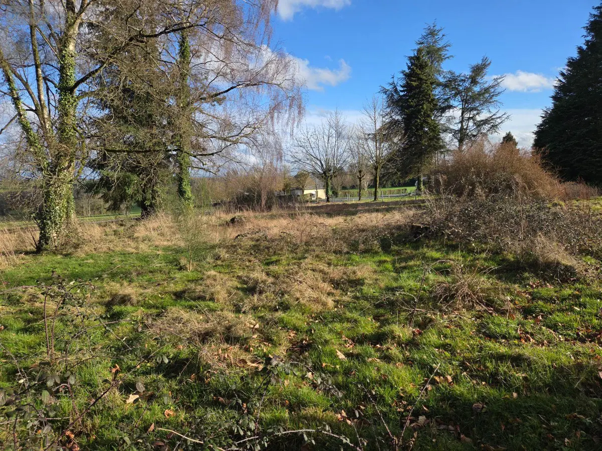 Terrain a batir a vendre Saint-Georges-Buttavent 53100 Mayenne 53 20500 euros 53075/FC155A 001