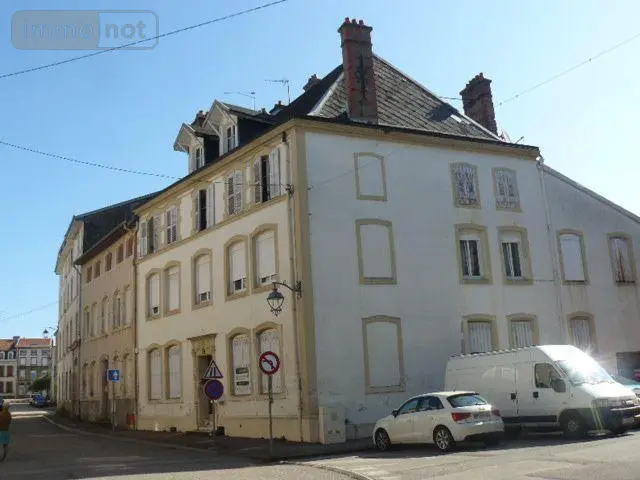 Maison a vendre Rambervillers 88700 Vosges 88 350 m2 15 pièces 90000 euros 2261 001