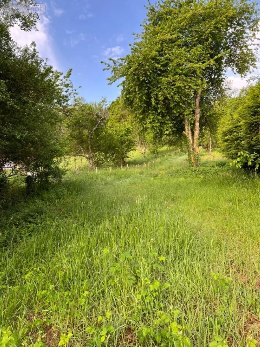 Terrain a batir a vendre Quincey 70000 Haute-Saône 70 57500 euros AW 001