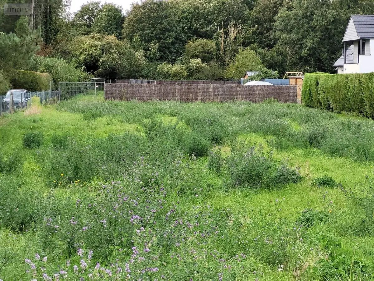 Terrain a batir a vendre Dannes 62187 Pas-de-Calais 62 698 m2 85400 euros 069/592 001