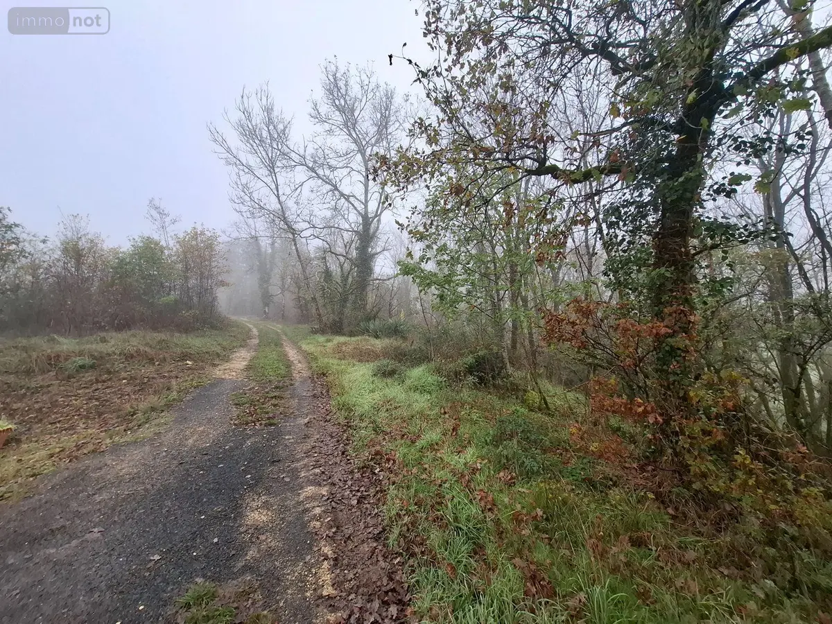 Terrains de loisirs bois etangs a vendre Saint-Léon-sur-Vézère 24290 Dordogne 24 28500 euros 18113/163 001