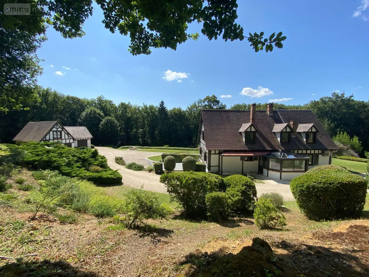 Maison a vendre Châtillon-sur-Indre 36700 Indre 36 258 m2 9 pièces 1273000 euros 1050185 001