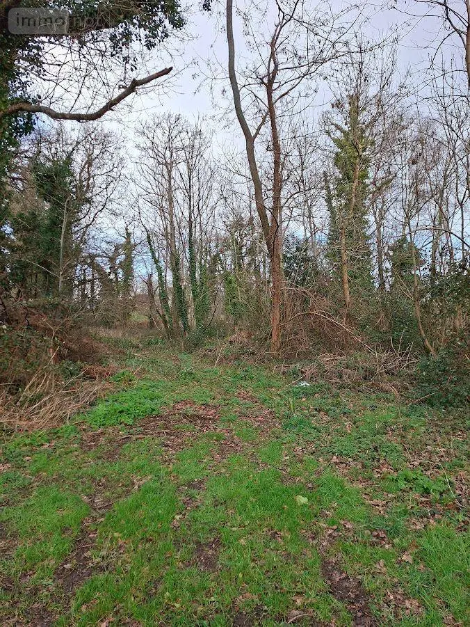 Terrains de loisirs bois etangs a vendre Clohars-Carnoët 29360 Finistère 29 26800 euros 29114-125 001