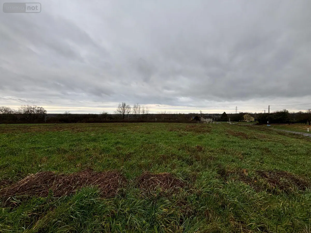 Terrain a batir a vendre Cuiseaux 71480 Saône-et-Loire 71 3231 m2 39000 euros 71111-119 001