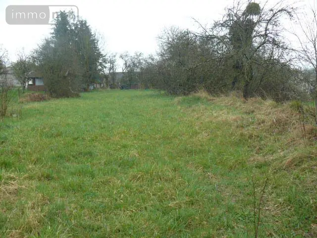Terrain a batir a vendre Domèvre-sur-Durbion 88330 Vosges 88 1450 m2 26000 euros 2266 001