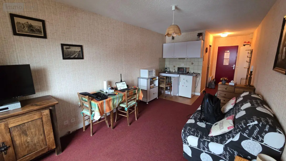 Appartement a vendre Laveissière 15300 Cantal 15 23 m2 46200 euros FG/2497 001