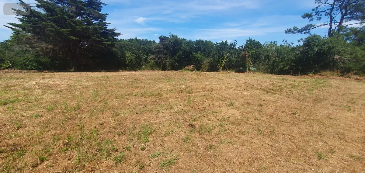 Terrain a batir a vendre Crozon 29160 Finistère 29 500 m2 221340 euros 3259 001