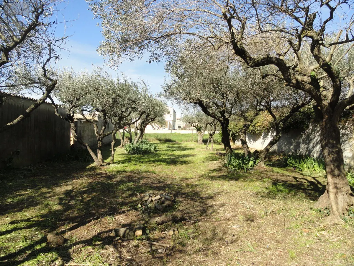 Terrain a batir a vendre Saint-Gilles 30800 Gard 30 99000 euros 11411/451 001