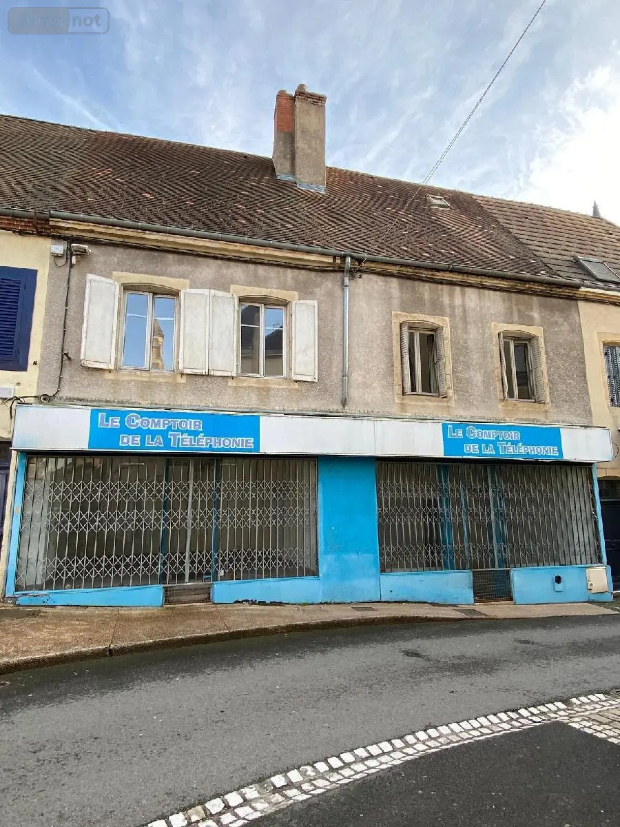 Maison a vendre Digoin 71160 Saône-et-Loire 71 250 m2 12 pièces 131600 euros M-E-PE 001