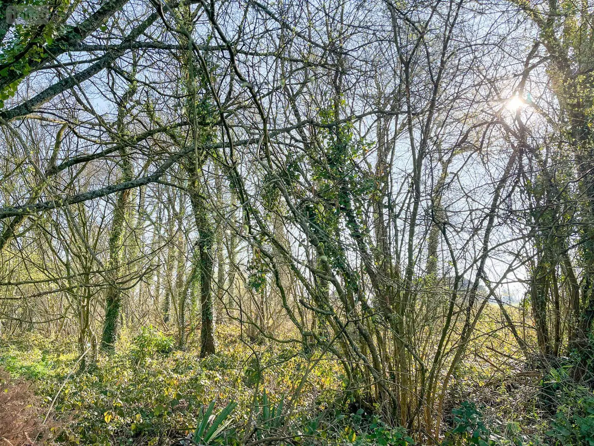 Terrains de loisirs bois etangs a vendre Hédé-Bazouges 35630 Ille-et-Vilaine 35 8500 euros 020/640 001