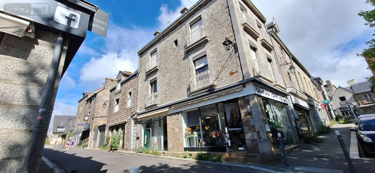 Immeuble de rapport a vendre Saint-Aubin-du-Cormier 35140 Ille-et-Vilaine 35 7 pièces 271700 euros 137/4073 001