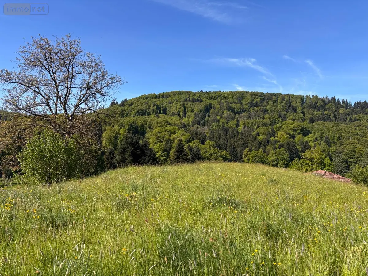 Terrain a batir a vendre Le Val-d'Ajol 88340 Vosges 88 813 m2 23600 euros 14815/202500845 001