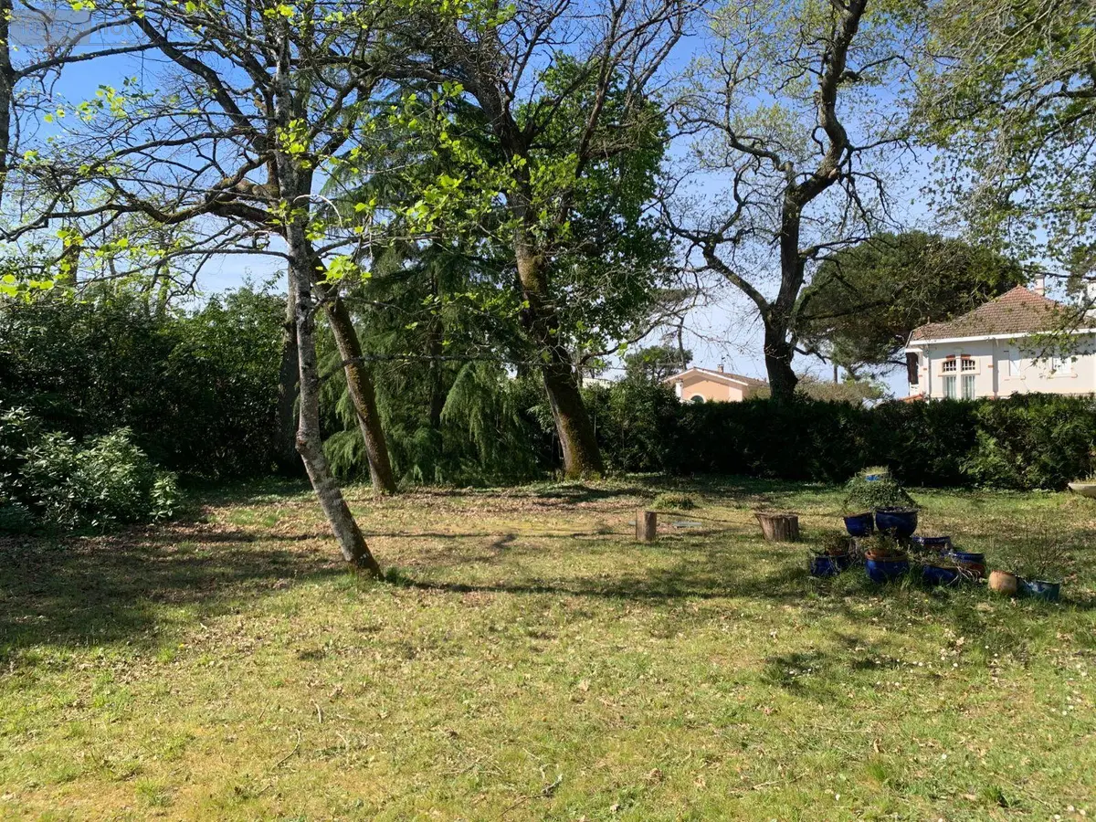 Terrain a batir a vendre Lanton 33138 Gironde 33 115 m2 367500 euros 022/1235 001