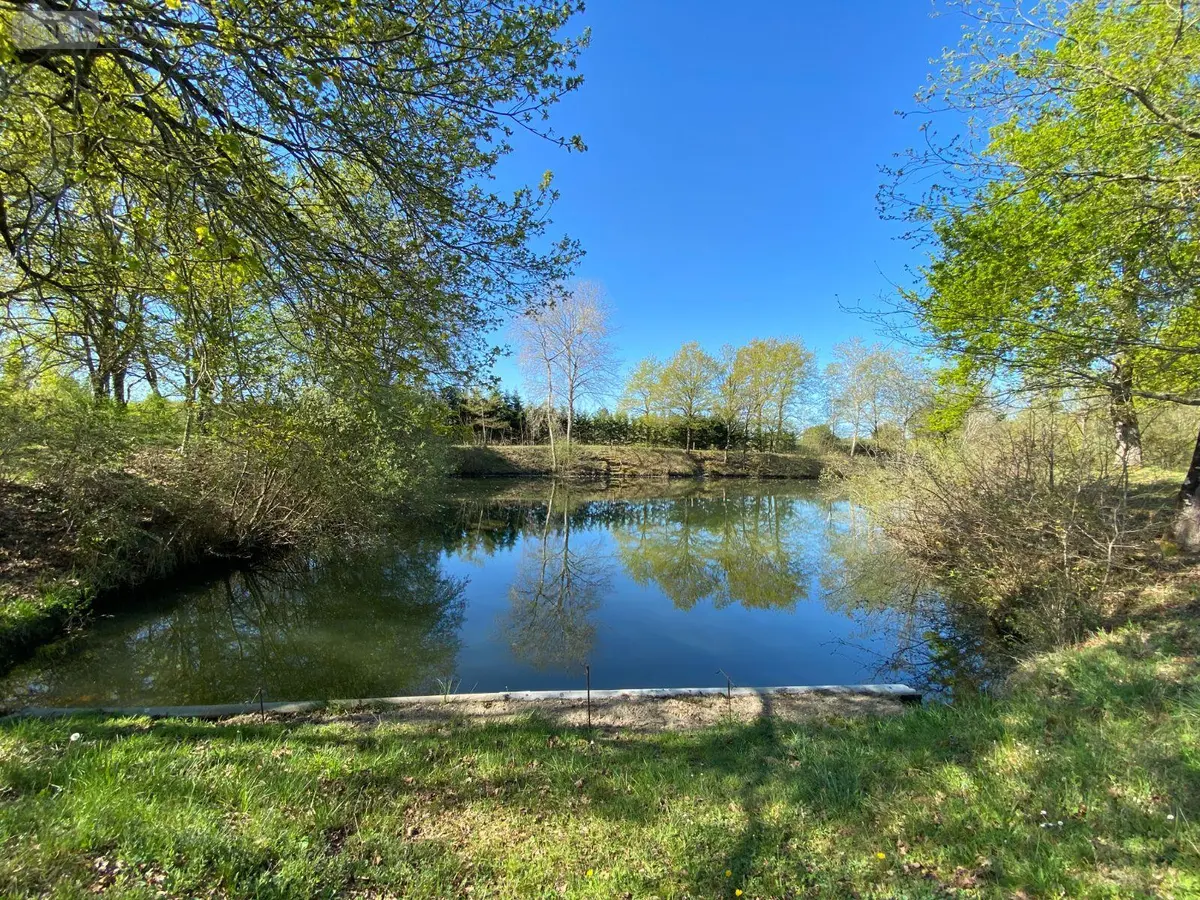 Terrains de loisirs bois etangs a vendre Saint-Genou 36500 Indre 36 22200 euros 1052374 001