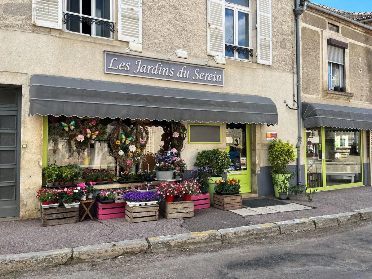 Fonds et murs commerciaux a vendre L'Isle-sur-Serein 89440 Yonne 89 45500 euros 89099/140713 001