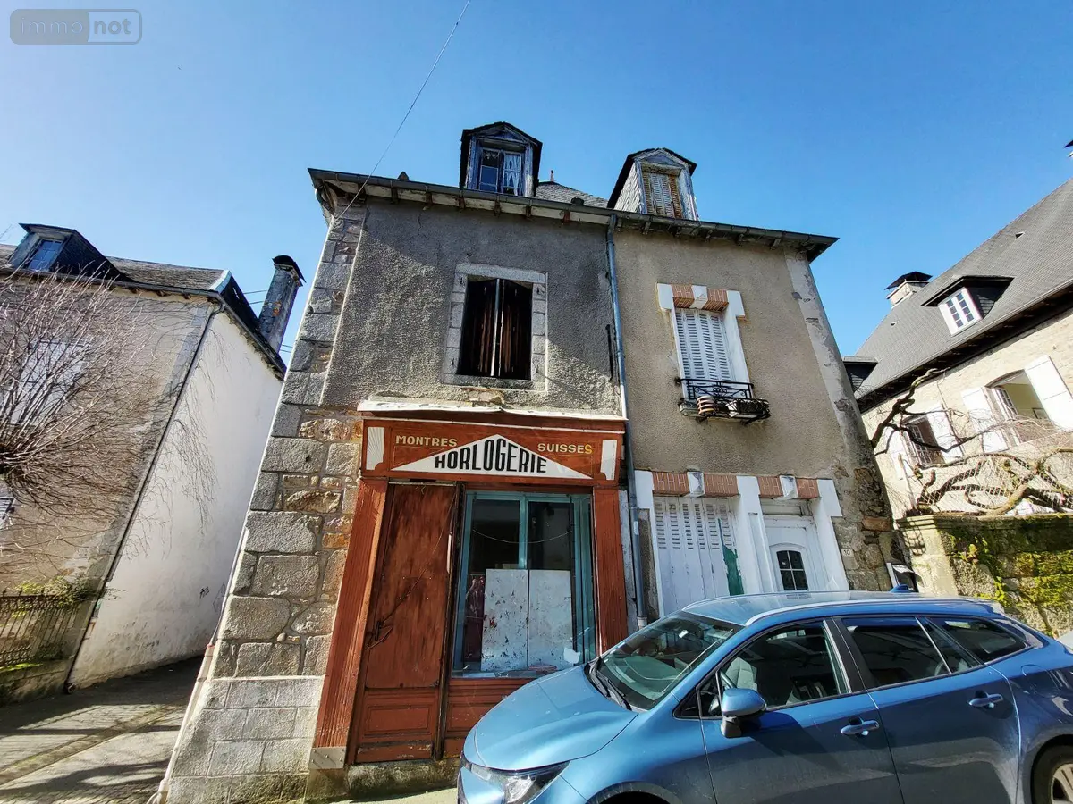 Immeuble de rapport a vendre Neuvic 19160 Corrèze 19 115 m2 6 pièces 38000 euros UM 1314 001