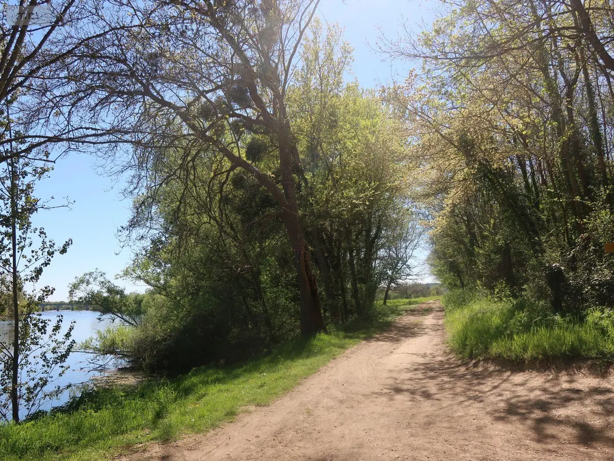 Terrains de loisirs bois etangs a vendre Vouneuil-sur-Vienne 86210 Vienne 86 9000 euros 86024-TEBE2453 001