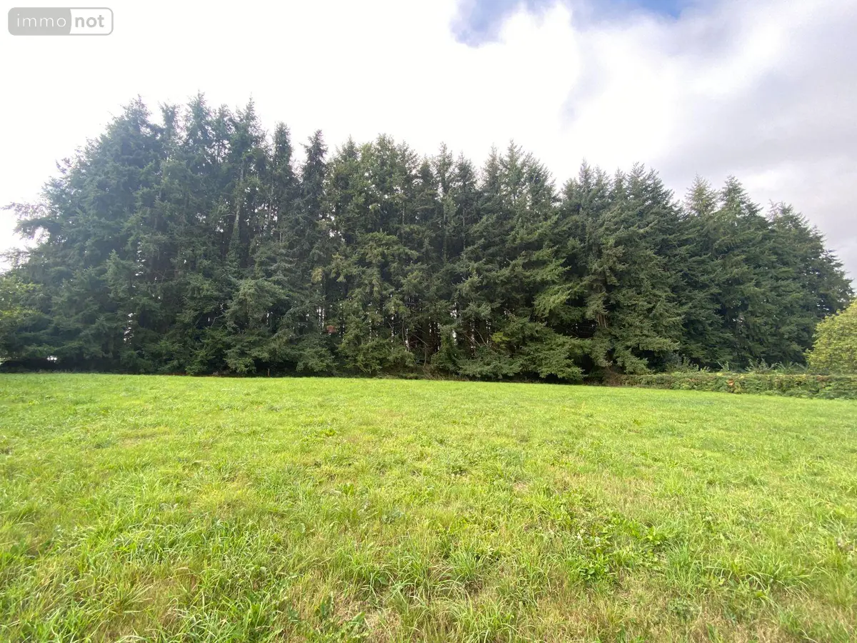 Terrains de loisirs bois etangs a vendre Louvigné-du-Désert 35420 Ille-et-Vilaine 35 11800 euros 135/118 001