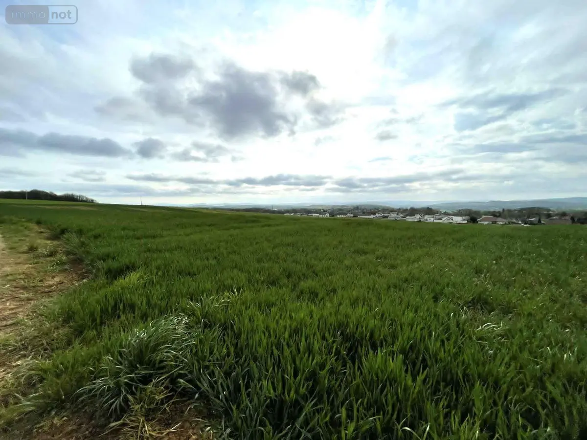 Terrain a batir a vendre Saint-Vit 25410 Doubs 25 91000 euros 25006-117-2025 001