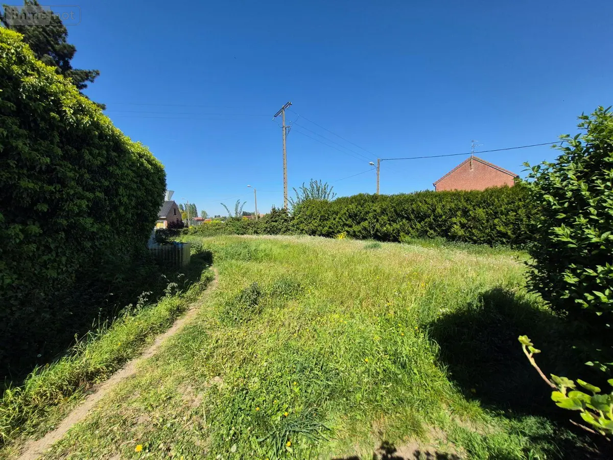 Terrain a batir a vendre Merville 59660 Nord 59 68900 euros C1154 001