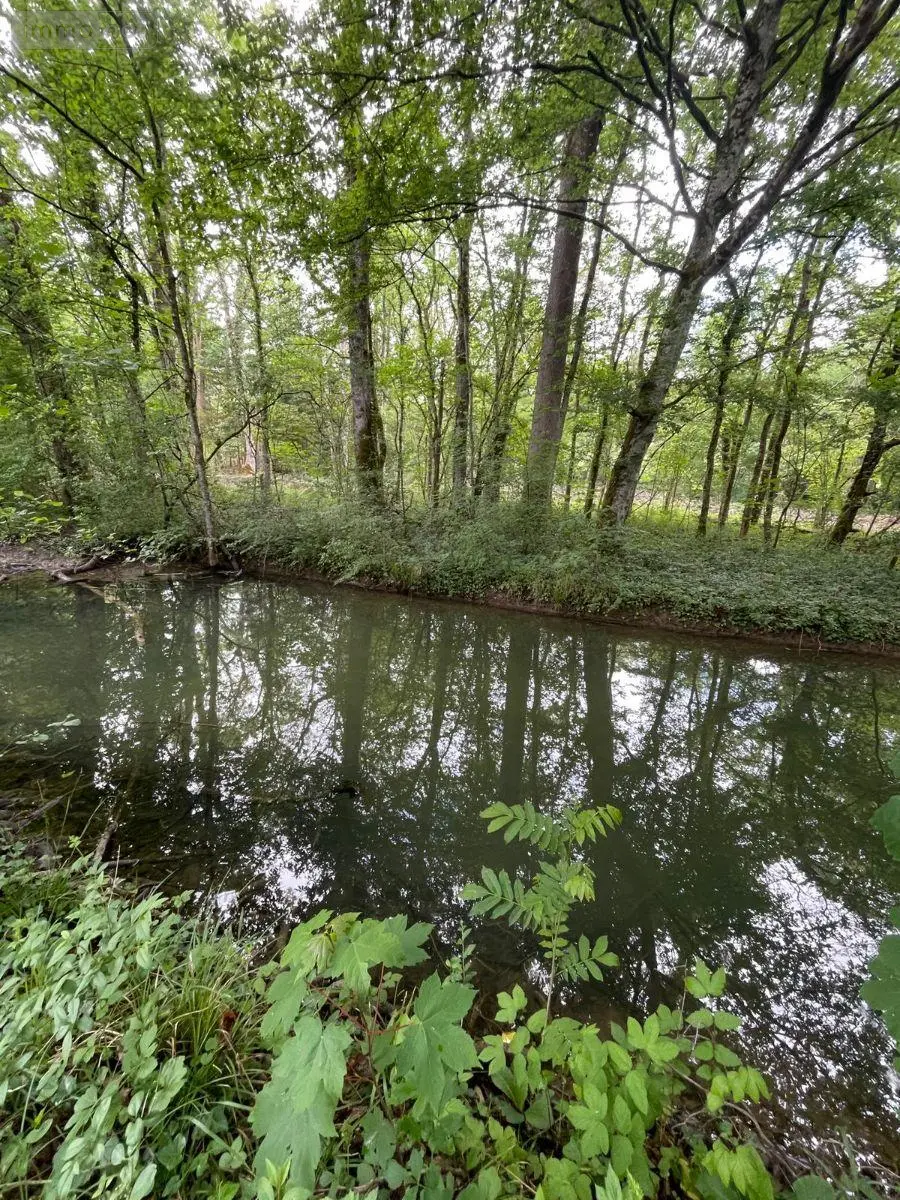 Terrains de loisirs bois etangs a vendre Villedieu 21330 Côte-d'Or 21 13600 euros 1758 001