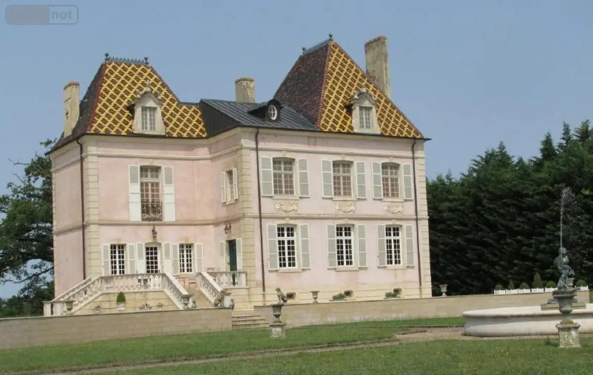 Propriete a vendre Saint-Jean-sur-Reyssouze 01560 Ain 01 350 m2 11 pièces 2781000 euros YM869 001