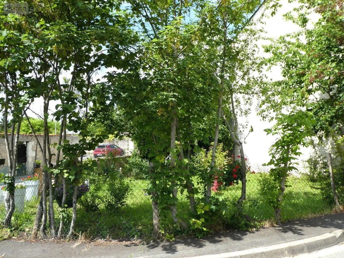 Terrain a batir a vendre Bléré 37150 Indre-et-Loire 37 37100 euros 11893/509 001
