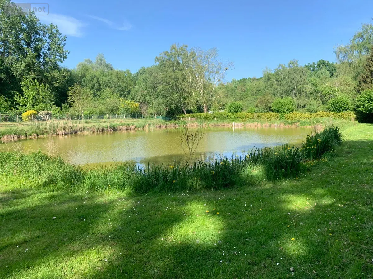 Terrains de loisirs bois etangs a vendre Savigné-l'Évêque 72460 Sarthe 72 20140 euros 13827/659 001