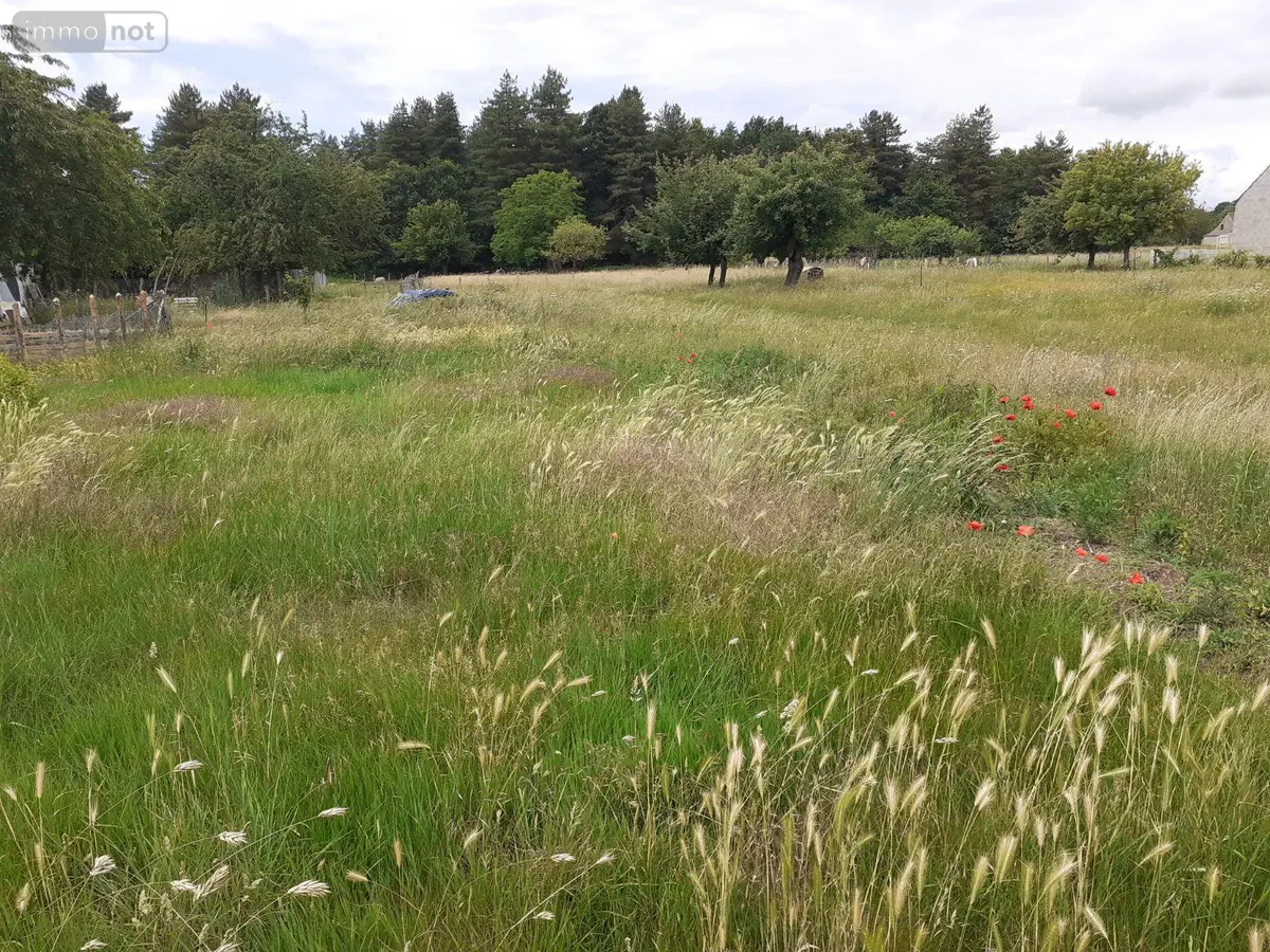 Terrain a batir a vendre Écommoy 72220 Sarthe 72 803 m2 58000 euros 023/2132 001