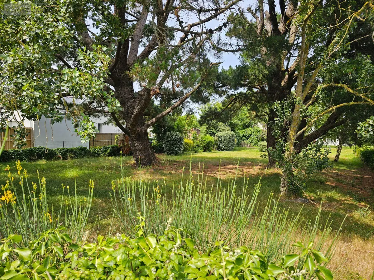 Terrain a batir a vendre Cancale 35260 Ille-et-Vilaine 35 168283 euros 11785/453 001