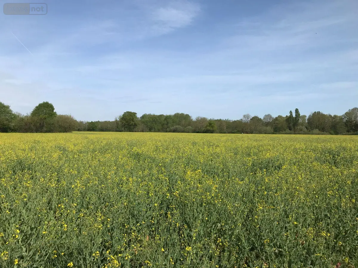 Bien agricole a vendre Torcé-en-Vallée 72110 Sarthe 72 39960 euros 079/2026 001