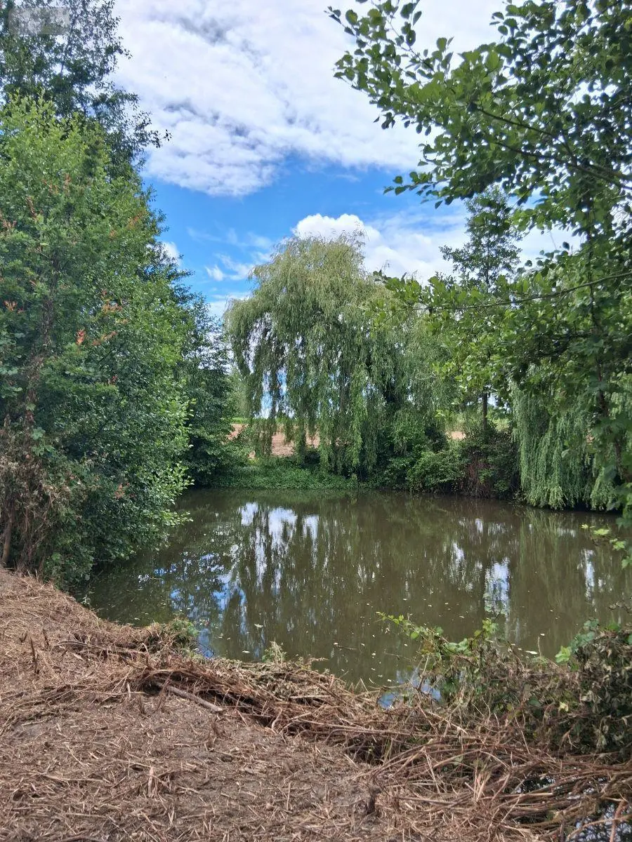 Terrains de loisirs bois etangs a vendre Saint-Jean-de-la-Motte 72510 Sarthe 72 15600 euros 497 001