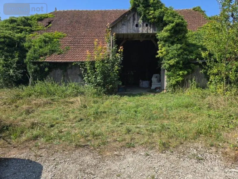 Maison a vendre Échemines 10350 Aube 10 220 m2 48240 euros 10378/1336 001