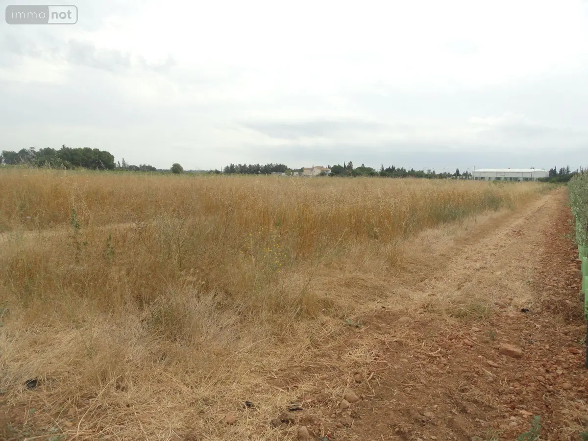 Bien agricole a vendre Saint-Gilles 30800 Gard 30 10000 euros 11411/456 001