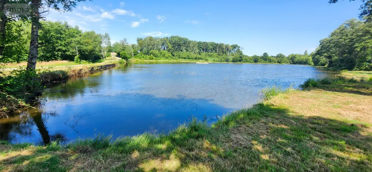 Terrains de loisirs bois etangs a vendre Branges 71500 Saône-et-Loire 71 110000 euros YM765 001