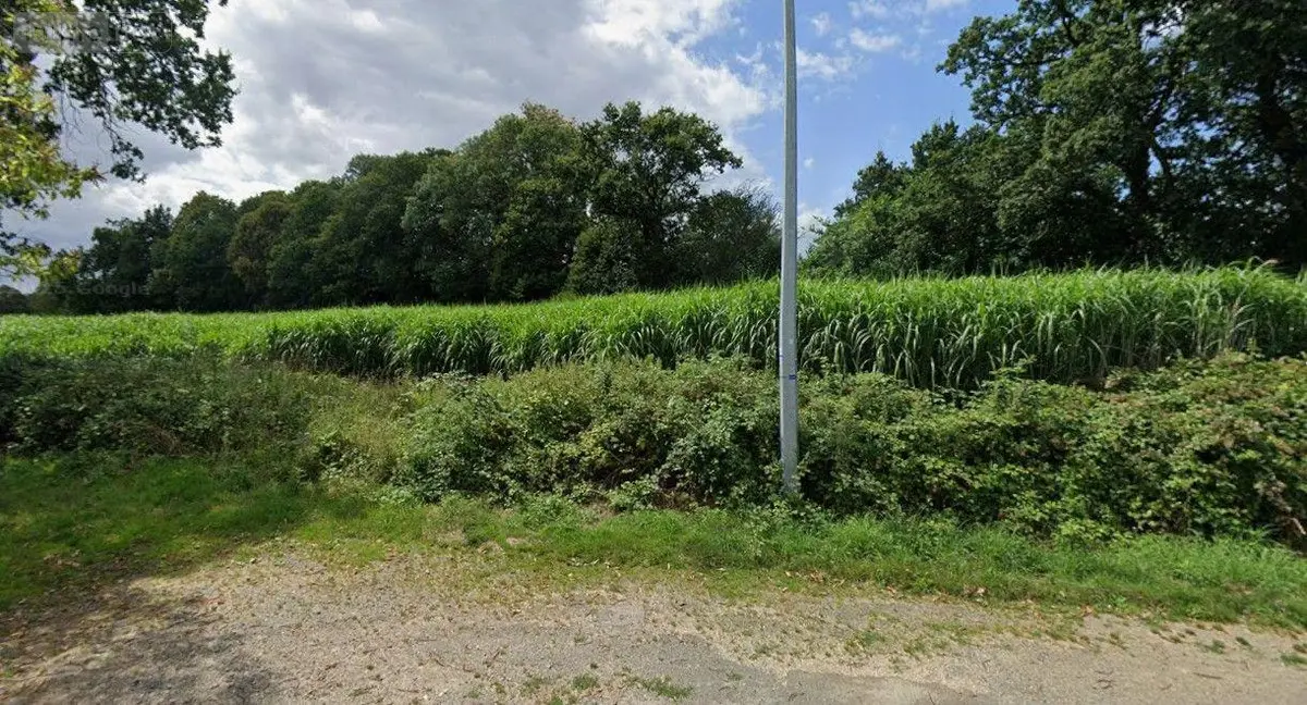 Bien agricole a vendre Saint-James 50240 Manche 50 27400 euros 12541/2293 001
