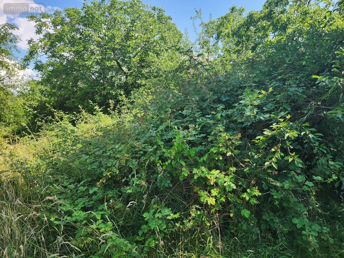Terrains de loisirs bois etangs a vendre Géraudot 10220 Aube 10 33100 euros 10379/665 001