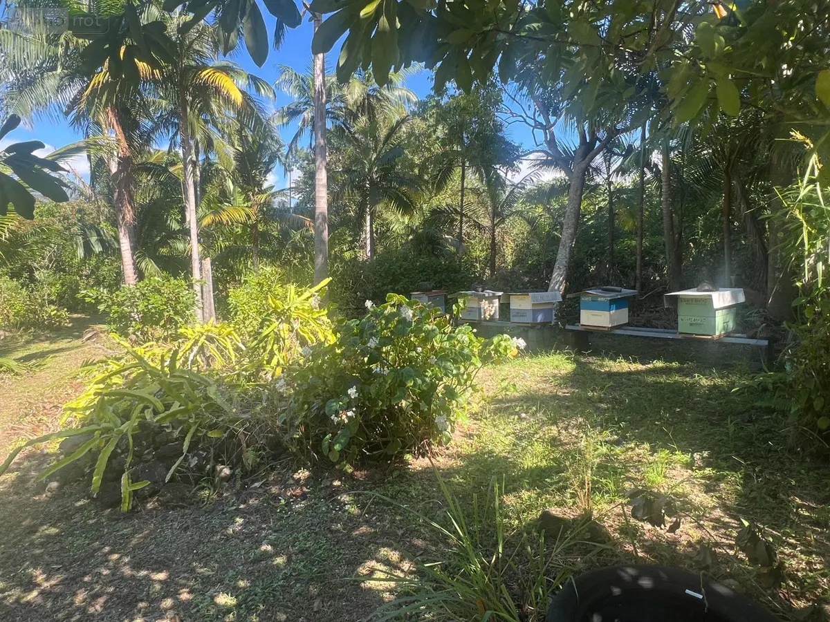 Terrain a batir a vendre Saint-Benoît 97437 La Réunion 974 225000 euros 97404/31 001