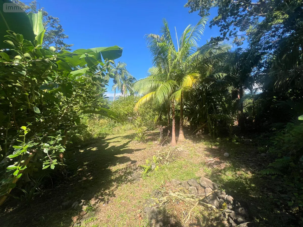 Terrain a batir a vendre Saint-Benoît 97437 La Réunion 974 185000 euros 97404/32 001