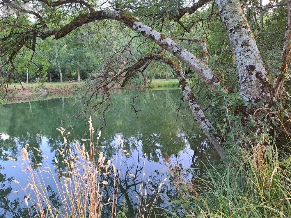 Terrains de loisirs bois etangs a vendre Le Tranger 36700 Indre 36 21400 euros 1052709 001