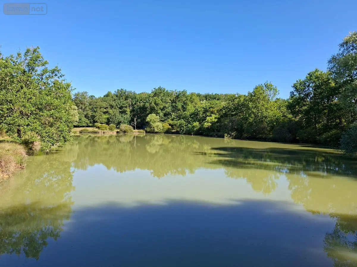 Terrains de loisirs bois etangs a vendre Vicq-Exemplet 36400 Indre 36 58300 euros 260112 001