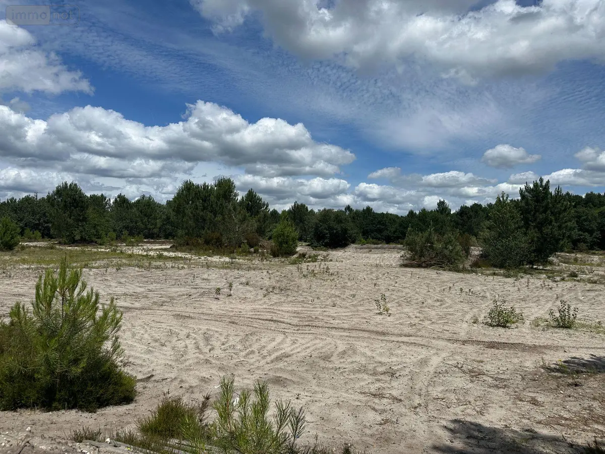 Terrain a batir a vendre Mios 33380 Gironde 33 1560000 euros 147/855 001