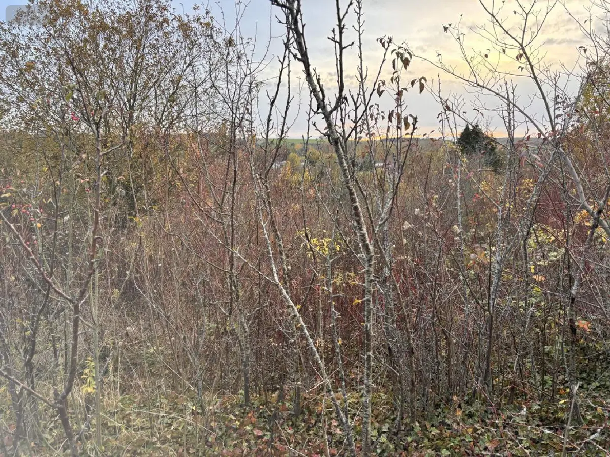 Terrain a batir a vendre Auxi-le-Château 62390 Pas-de-Calais 62 23500 euros 113/1750 001