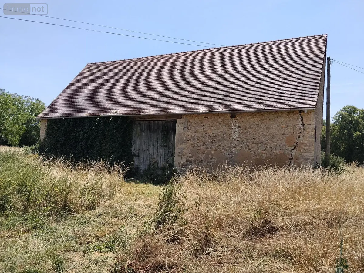 Divers a vendre Meunet-sur-Vatan 36150 Indre 36 100 m2 27100 euros 142599G 001