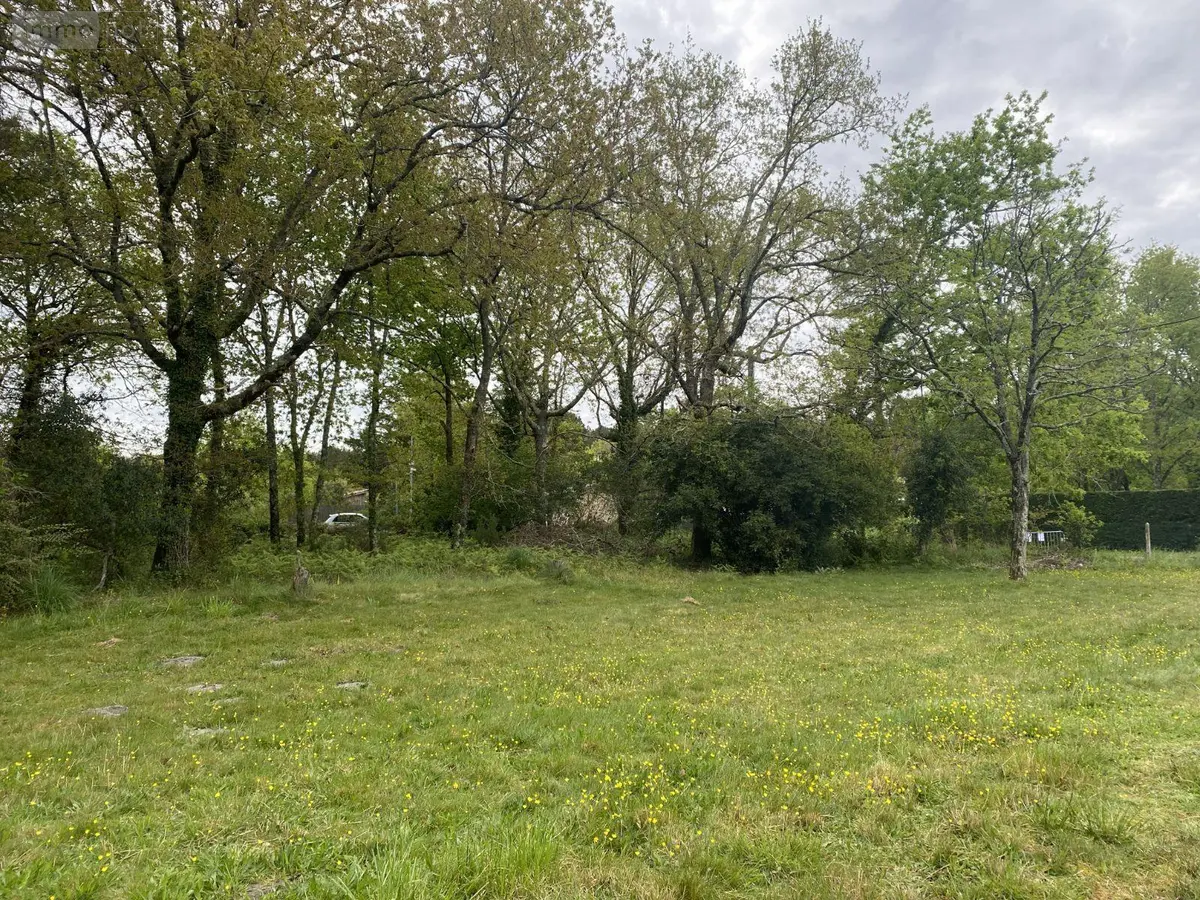 Maison a vendre Carcans 33121 Gironde 33 90 m2 4 pièces 272000 euros 016/1106 001