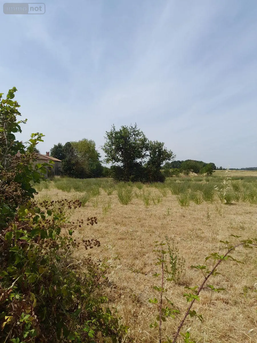 Terrain a batir a vendre Frontenay-sur-Dive 86330 Vienne 86 11500 euros 86056/9 001