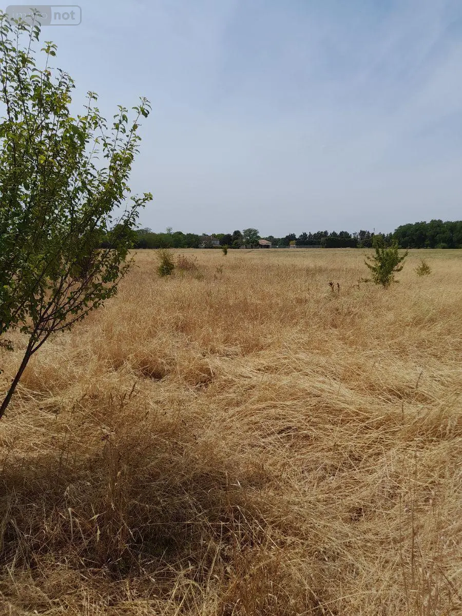Terrain a batir a vendre Saint-Jean-de-Sauves 86330 Vienne 86 13000 euros 86056/12 001